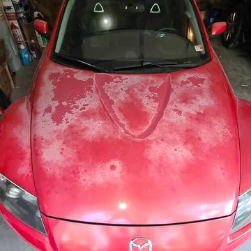 2004 Mazda RX-8 Touring Coupe 4D