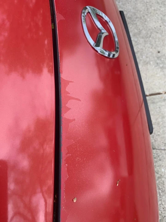 2004 Mazda RX-8 1st Gen - Image 8 of 10