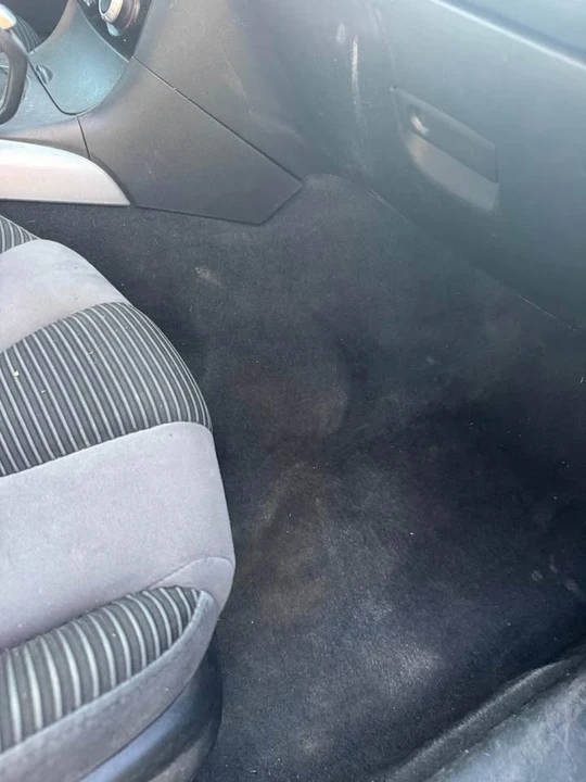 2004 Mazda RX-8 1st Gen - Image 12 of 13