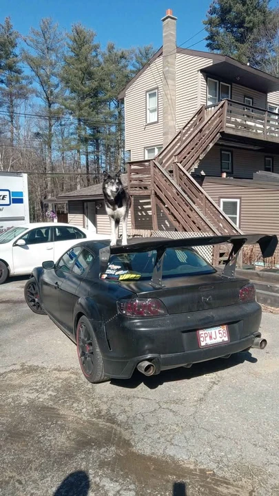 2004 Mazda RX-8 1st Gen - Image 6 of 9