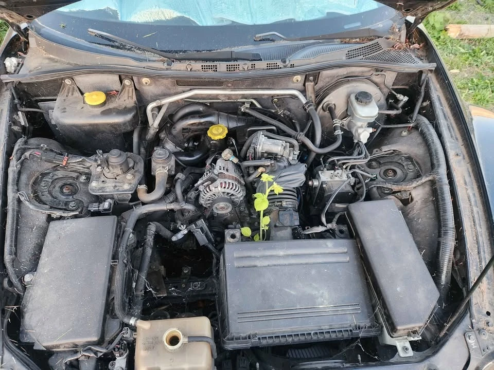 2004 Mazda RX-8 1st Gen - Image 8 of 8