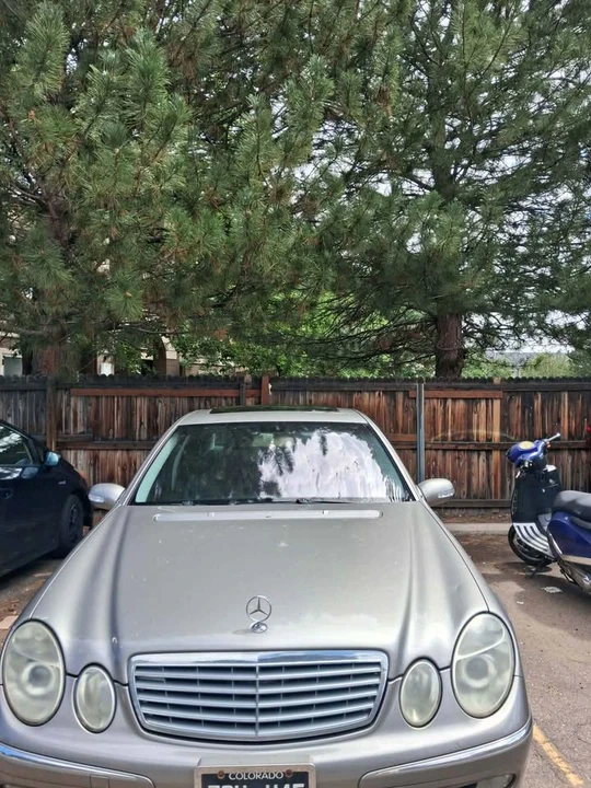 2004 Mercedes-Benz E-Class - Image 9 of 9