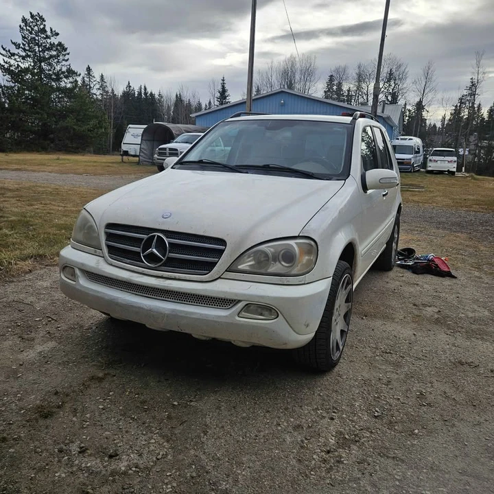 2004 Mercedes-Benz W163 M-Class - Image 2 of 10