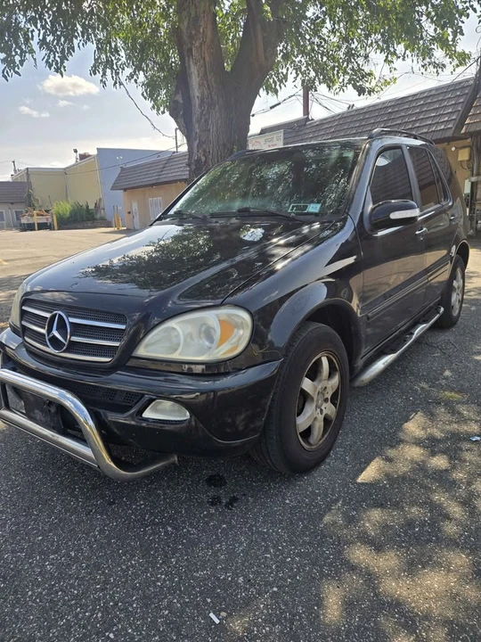 2004 Mercedes-Benz W163 M-Class - Image 3 of 16