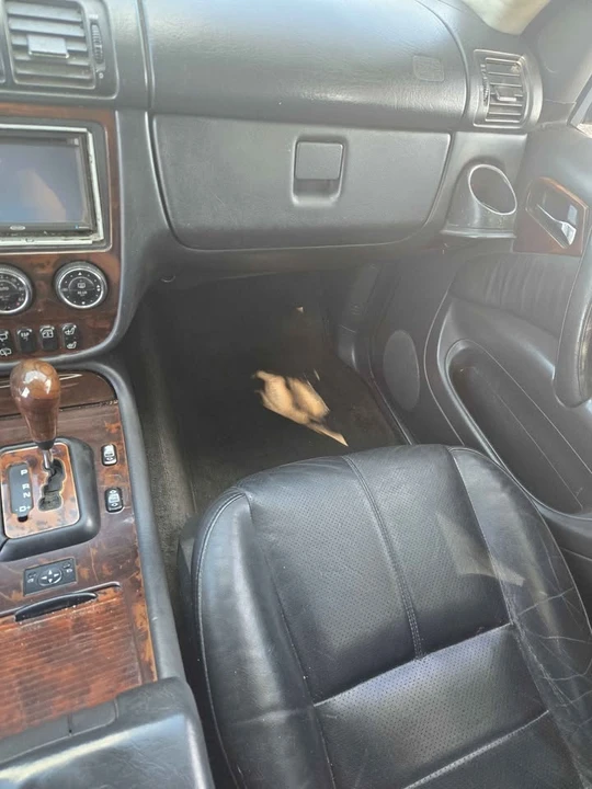 2004 Mercedes-Benz W163 M-Class - Image 12 of 16