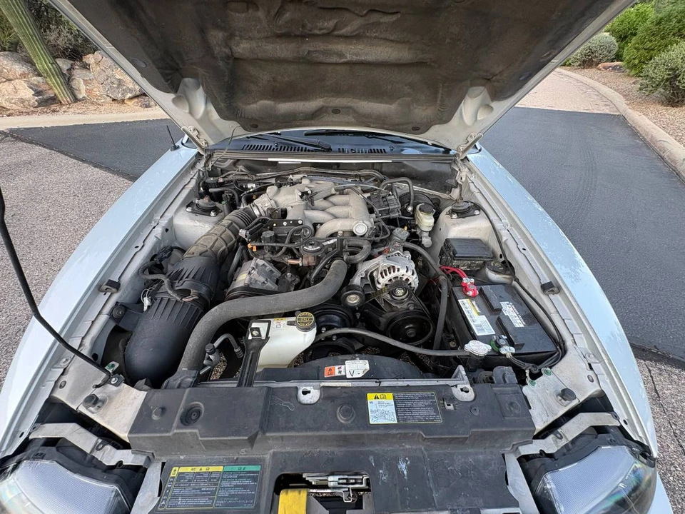 2004 Ford SN95 Mustang - Image 18 of 18