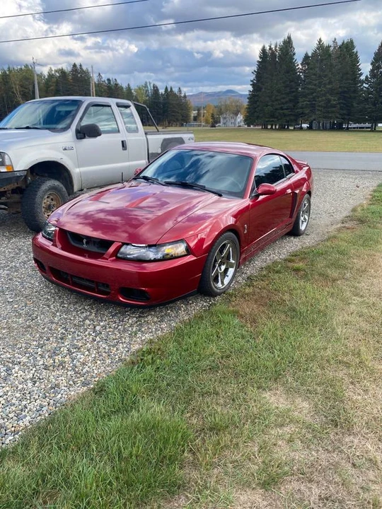 2004 Ford SN95 Mustang Cobra - Image 8 of 9