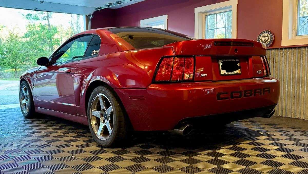 2004 Ford SN95 Mustang Cobra - Image 5 of 9