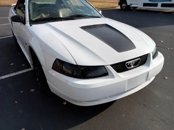 2004 Ford SN95 Mustang - Image 5 of 10