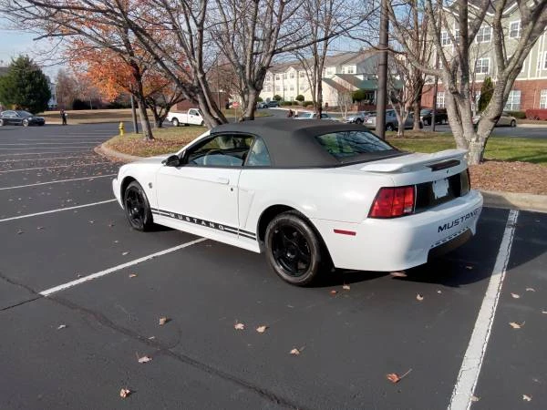 2004 Ford SN95 Mustang - Image 10 of 10
