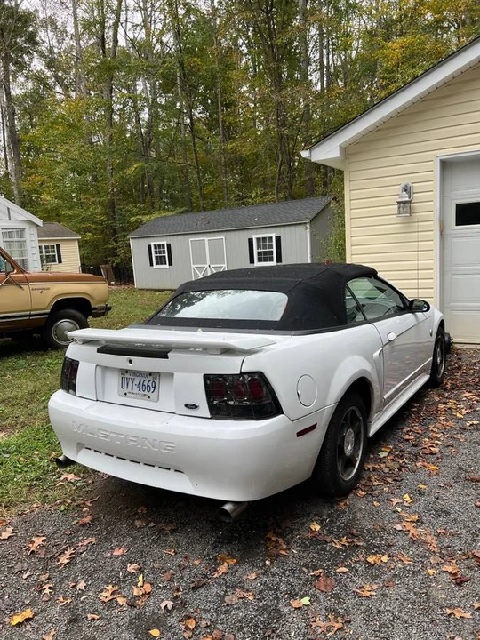 2004 Ford SN95 Mustang - Image 3 of 5