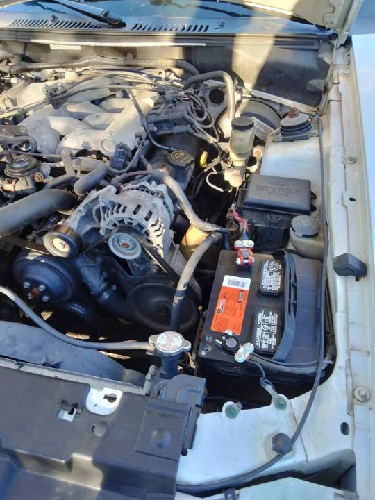 2004 Ford SN95 Mustang - Image 3 of 11