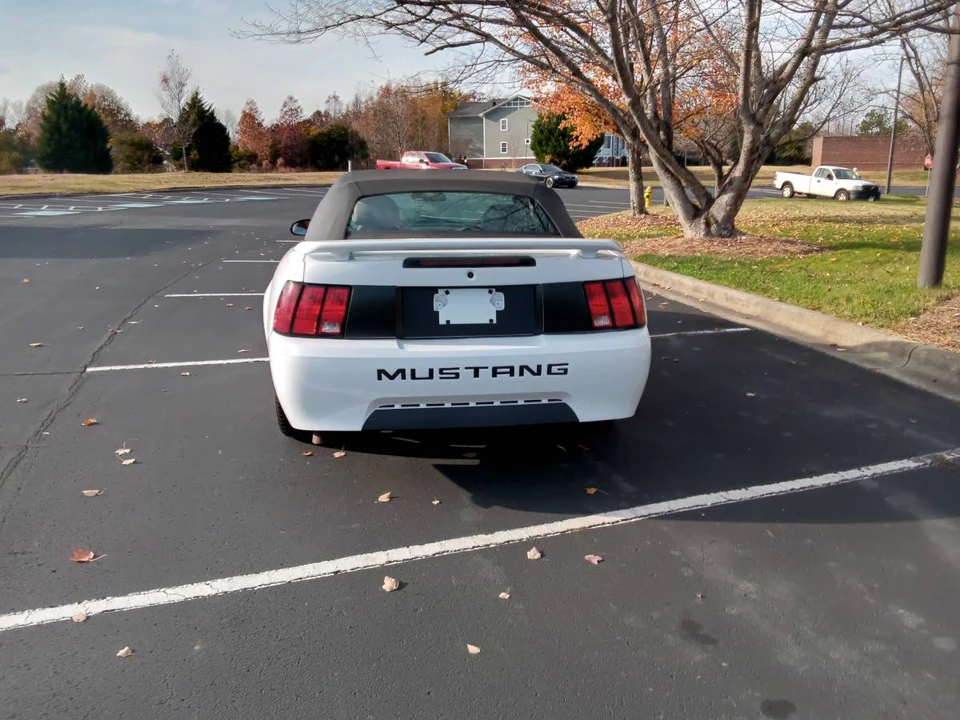 2004 Ford SN95 Mustang - Image 7 of 10