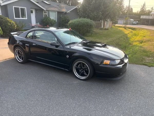 2004 Ford SN95 Mustang - Image 5 of 9