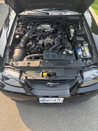 2004 Ford SN95 Mustang - Image 3 of 9