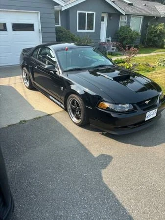 2004 Ford SN95 Mustang - Image 2 of 9