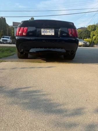 2004 Ford SN95 Mustang - Image 6 of 9