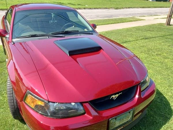 2004 Ford SN95 Mustang - Image 2 of 4