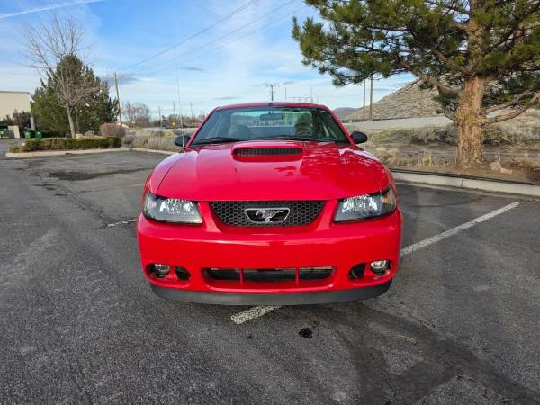 2004 Ford SN95 Mustang - Image 5 of 8