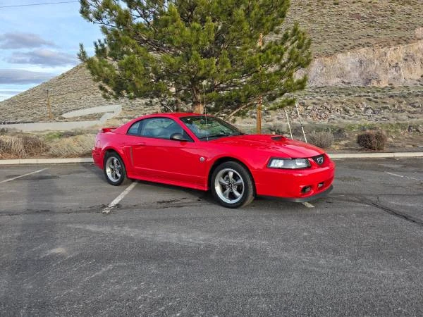 2004 Ford SN95 Mustang - Image 6 of 8