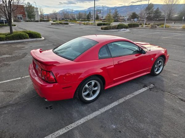 2004 Ford SN95 Mustang - Image 8 of 8