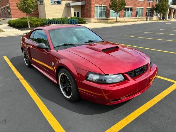 2004 Ford SN95 Mustang - Image 13 of 17