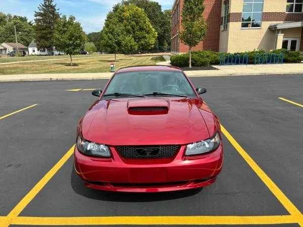 2004 Ford SN95 Mustang - Image 14 of 17