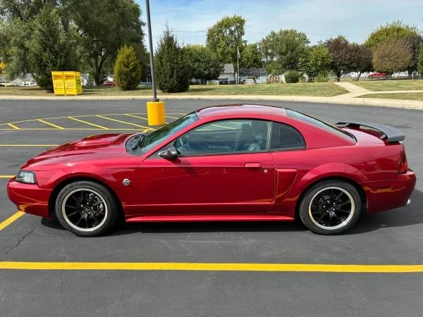 2004 Ford SN95 Mustang - Image 4 of 17