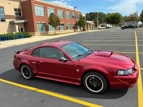 2004 Ford SN95 Mustang - Image 12 of 17