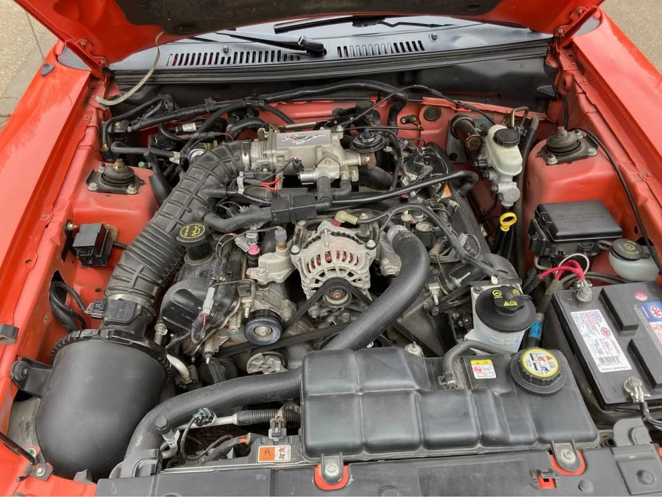 2004 Ford SN95 Mustang - Image 6 of 7