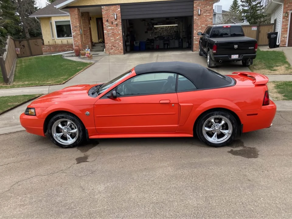 2004 Ford SN95 Mustang - Image 3 of 7
