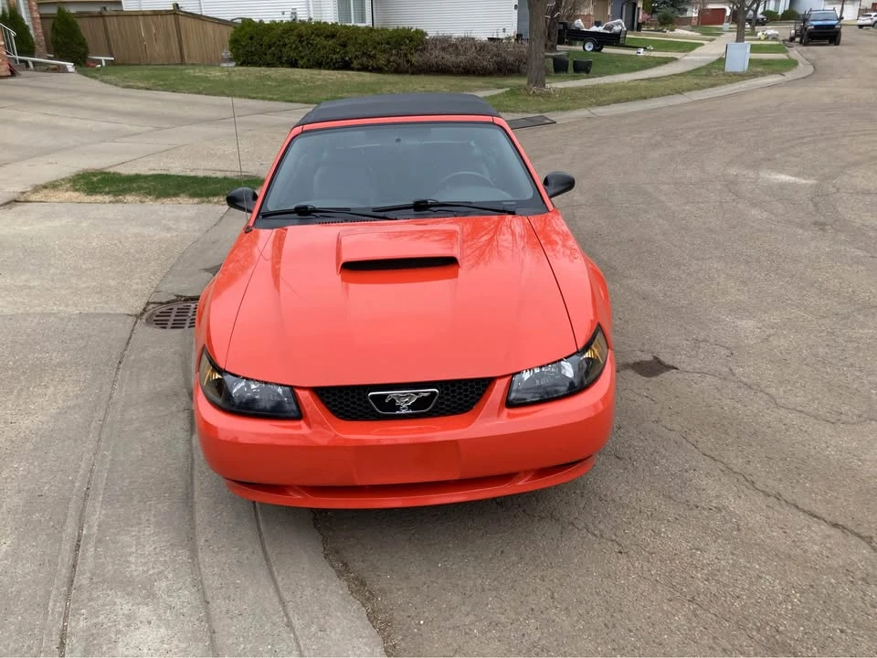 2004 Ford SN95 Mustang - Image 2 of 7