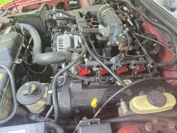 2004 Ford SN95 Mustang - Image 10 of 11