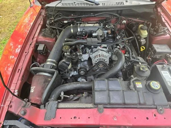 2004 Ford SN95 Mustang - Image 9 of 11