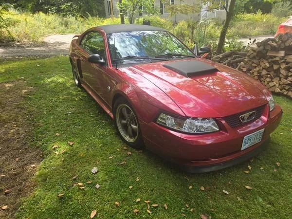 2004 Ford SN95 Mustang - Image 5 of 11