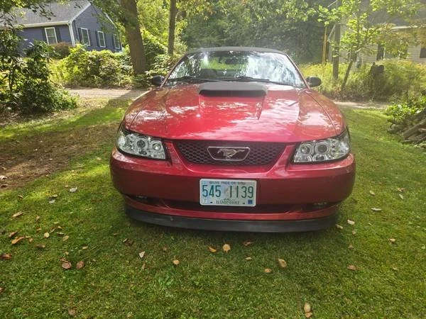 2004 Ford SN95 Mustang - Image 4 of 11