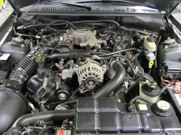 2004 Ford SN95 Mustang - Image 15 of 21