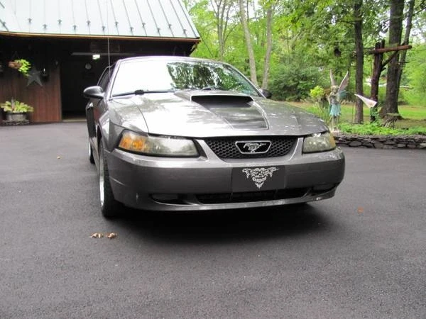 2004 Ford SN95 Mustang - Image 2 of 21