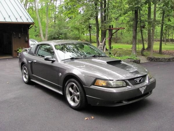 2004 Ford SN95 Mustang - Image 8 of 21