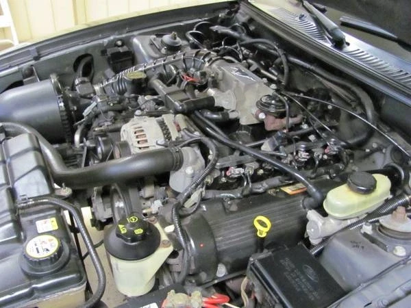 2004 Ford SN95 Mustang - Image 16 of 21