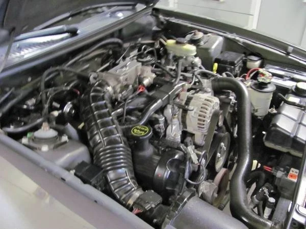 2004 Ford SN95 Mustang - Image 14 of 21