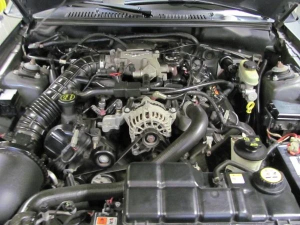 2004 Ford SN95 Mustang - Image 15 of 21