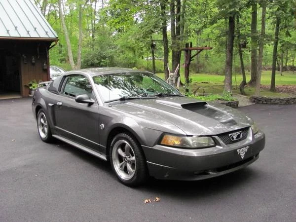 2004 Ford SN95 Mustang - Image 8 of 21