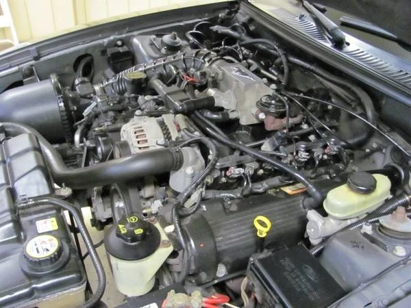 2004 Ford SN95 Mustang - Image 16 of 21