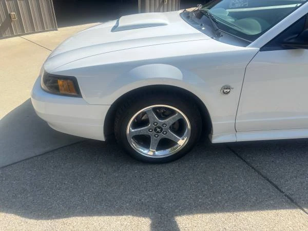 2004 Ford SN95 Mustang - Image 9 of 11