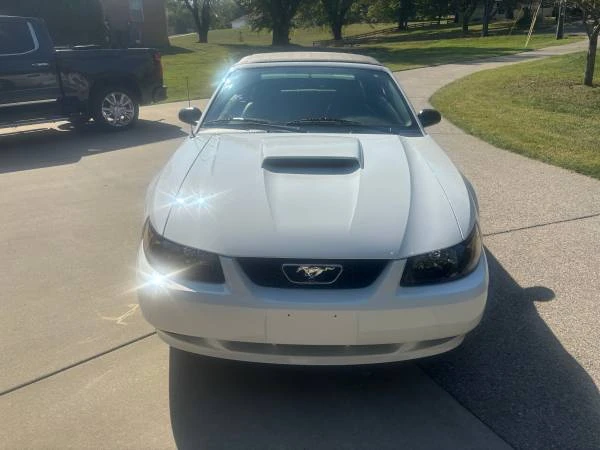2004 Ford SN95 Mustang - Image 4 of 11