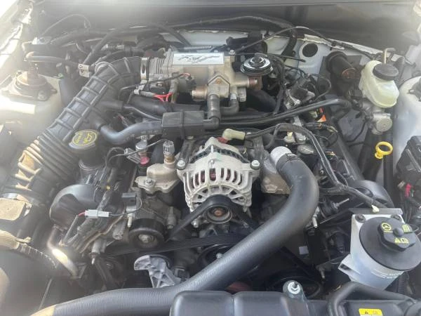 2004 Ford SN95 Mustang - Image 11 of 11