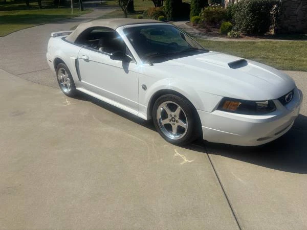 2004 Ford SN95 Mustang - Image 5 of 11