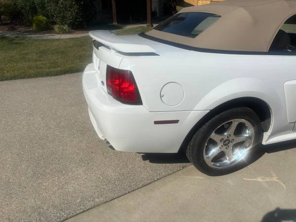 2004 Ford SN95 Mustang - Image 6 of 11