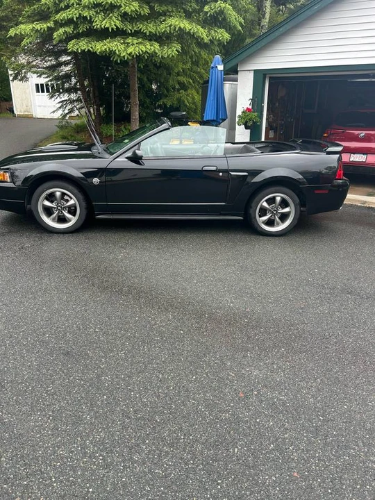 2004 Ford SN95 Mustang - Image 11 of 11
